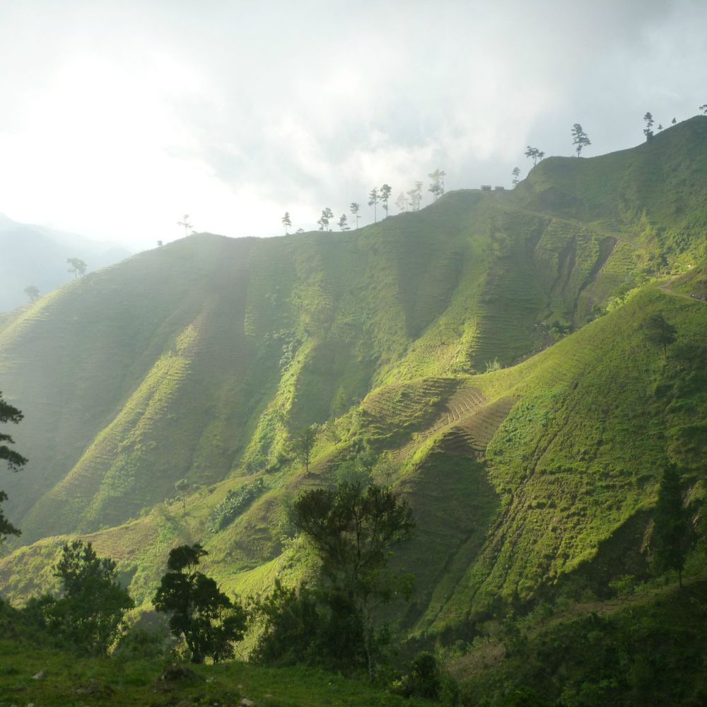 Dèyè mònn, gen mònn